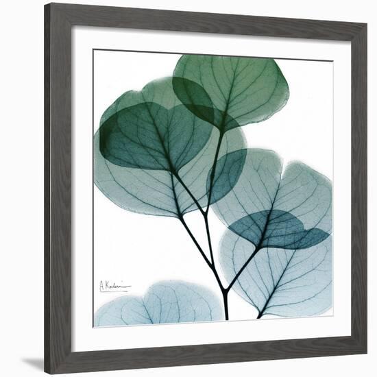 Dull Eucalyptus Mate-Albert Koetsier-Framed Giclee Print