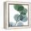 Dull Eucalyptus-Albert Koetsier-Framed Stretched Canvas