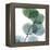 Dull Eucalyptus-Albert Koetsier-Framed Stretched Canvas
