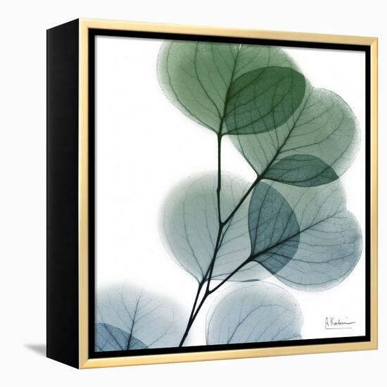 Dull Eucalyptus-Albert Koetsier-Framed Stretched Canvas