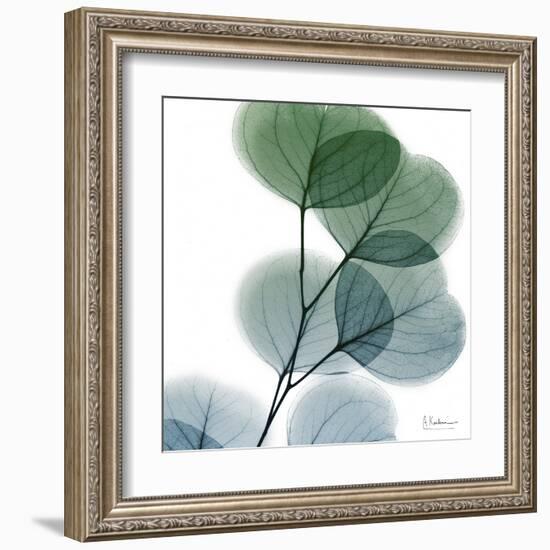 Dull Eucalyptus-Albert Koetsier-Framed Art Print