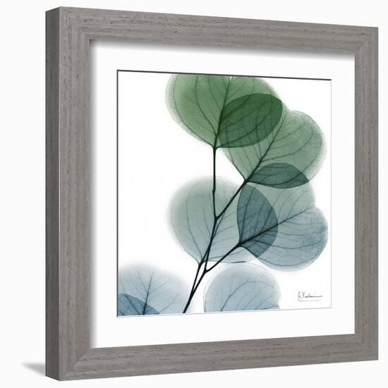 Dull Eucalyptus-Albert Koetsier-Framed Art Print