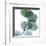 Dull Eucalyptus-Albert Koetsier-Framed Art Print