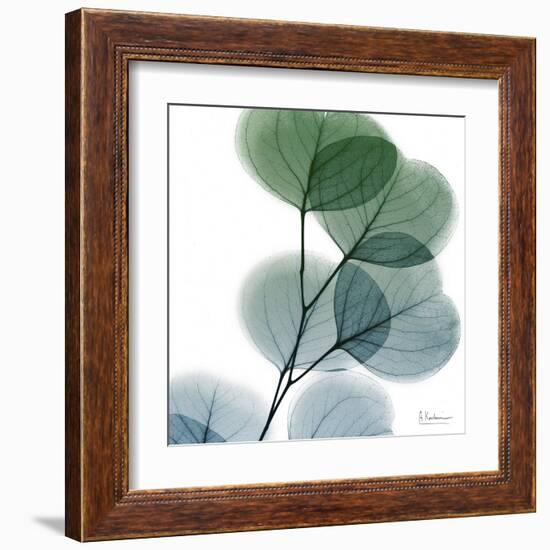 Dull Eucalyptus-Albert Koetsier-Framed Art Print