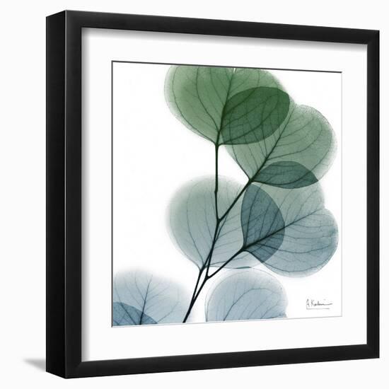 Dull Eucalyptus-Albert Koetsier-Framed Art Print