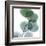 Dull Eucalyptus-Albert Koetsier-Framed Art Print