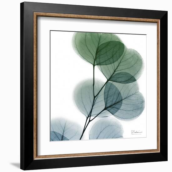 Dull Eucalyptus-Albert Koetsier-Framed Art Print