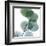 Dull Eucalyptus-Albert Koetsier-Framed Art Print