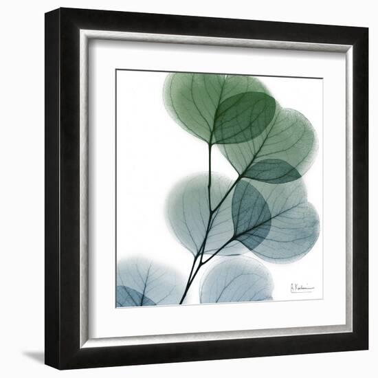 Dull Eucalyptus-Albert Koetsier-Framed Art Print