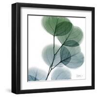 Dull Eucalyptus-Albert Koetsier-Framed Art Print