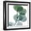 Dull Eucalyptus-Albert Koetsier-Framed Art Print