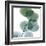 Dull Eucalyptus-Albert Koetsier-Framed Art Print