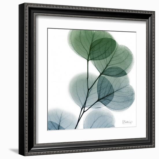 Dull Eucalyptus-Albert Koetsier-Framed Art Print