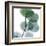 Dull Eucalyptus-Albert Koetsier-Framed Art Print