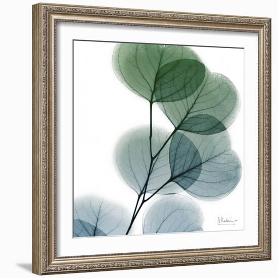 Dull Eucalyptus-Albert Koetsier-Framed Art Print