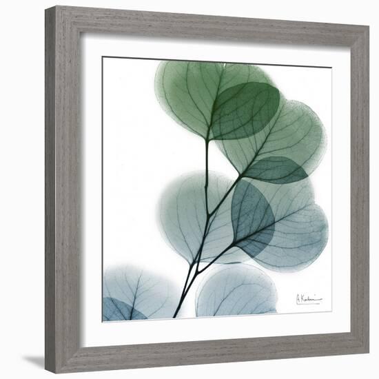 Dull Eucalyptus-Albert Koetsier-Framed Art Print