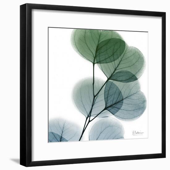 Dull Eucalyptus-Albert Koetsier-Framed Art Print