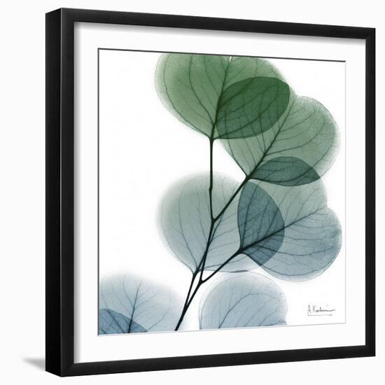 Dull Eucalyptus-Albert Koetsier-Framed Art Print