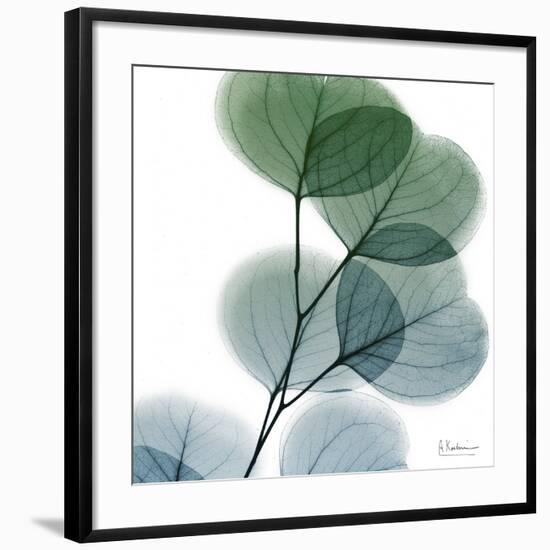 Dull Eucalyptus-Albert Koetsier-Framed Art Print