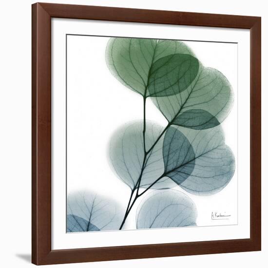 Dull Eucalyptus-Albert Koetsier-Framed Art Print