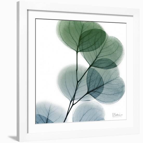 Dull Eucalyptus-Albert Koetsier-Framed Giclee Print