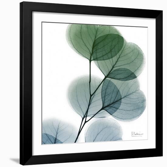 Dull Eucalyptus-Albert Koetsier-Framed Giclee Print