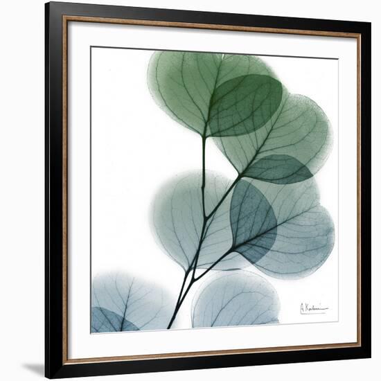 Dull Eucalyptus-Albert Koetsier-Framed Giclee Print