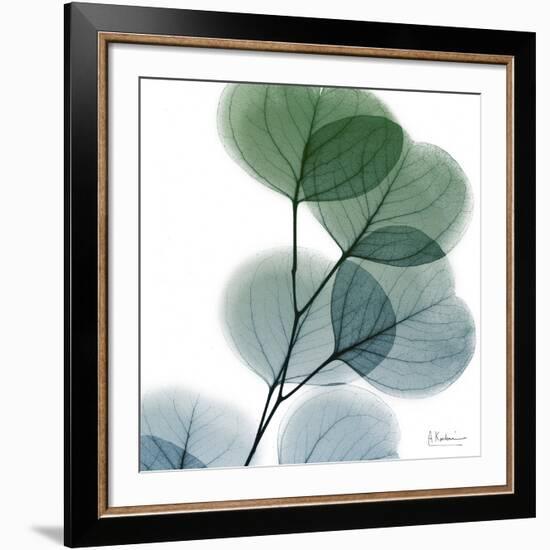 Dull Eucalyptus-Albert Koetsier-Framed Giclee Print