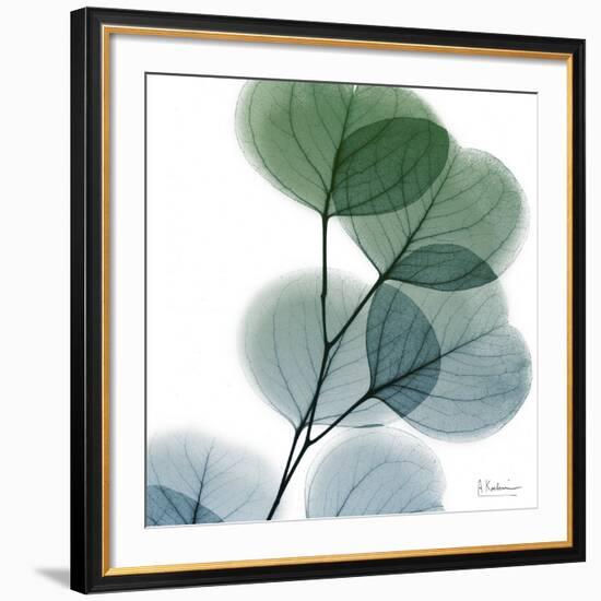 Dull Eucalyptus-Albert Koetsier-Framed Giclee Print