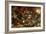 Dulle Griet' (Mad Me), C1562-Pieter Bruegel the Elder-Framed Giclee Print