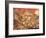 Dulle Griet (Mad Meg) 1564-Pieter Bruegel the Elder-Framed Giclee Print