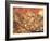 Dulle Griet (Mad Meg) 1564-Pieter Bruegel the Elder-Framed Giclee Print