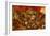 Dulle Griet ('Mad Meg')-Pieter Bruegel the Elder-Framed Giclee Print