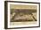 Duluth, Minnesota - Panoramic Map-Lantern Press-Framed Art Print