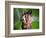 Dum Dum Bunny-Alan Sailer-Framed Photographic Print