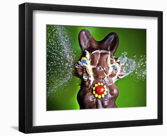 Dum Dum Bunny-Alan Sailer-Framed Photographic Print