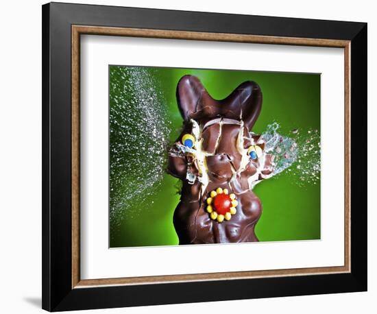 Dum Dum Bunny-Alan Sailer-Framed Photographic Print