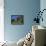 Dumbarton Castle, Scotland, United Kingdom, Europe-Woolfitt Adam-Framed Premier Image Canvas displayed on a wall
