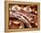 Dumeril's Boa, Native to Madagascar-David Northcott-Framed Premier Image Canvas