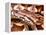 Dumeril's Boa, Native to Madagascar-David Northcott-Framed Premier Image Canvas