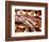 Dumeril's Boa, Native to Madagascar-David Northcott-Framed Premium Photographic Print