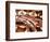 Dumeril's Boa, Native to Madagascar-David Northcott-Framed Photographic Print