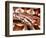 Dumeril's Boa, Native to Madagascar-David Northcott-Framed Photographic Print