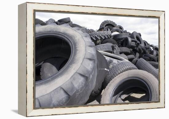 Dumped Tyres-Mark Williamson-Framed Premier Image Canvas