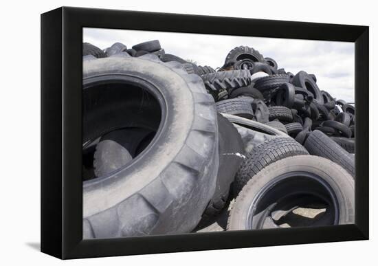 Dumped Tyres-Mark Williamson-Framed Premier Image Canvas