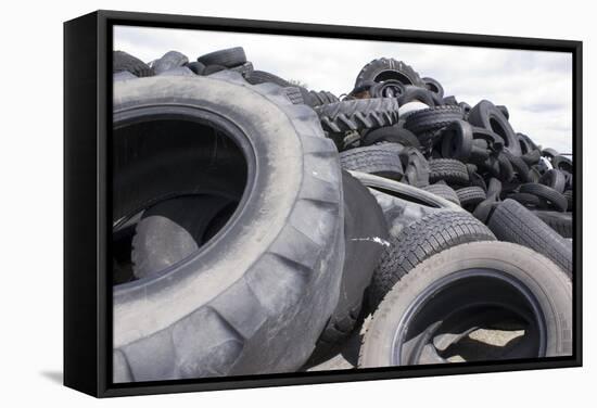 Dumped Tyres-Mark Williamson-Framed Premier Image Canvas