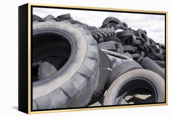 Dumped Tyres-Mark Williamson-Framed Premier Image Canvas