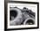 Dumped Tyres-Mark Williamson-Framed Photographic Print