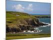 Premium Photographic Print