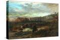 Stretched Canvas Print